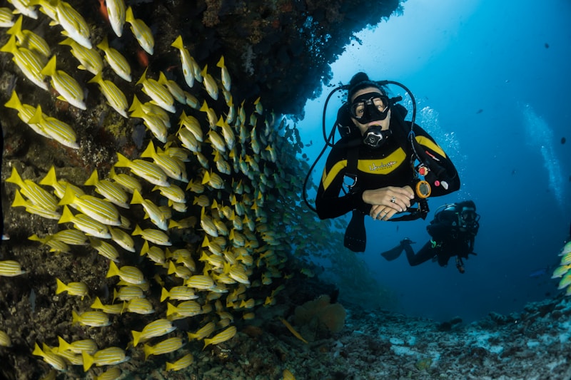Crystal clear Red Sea waters and coral reef