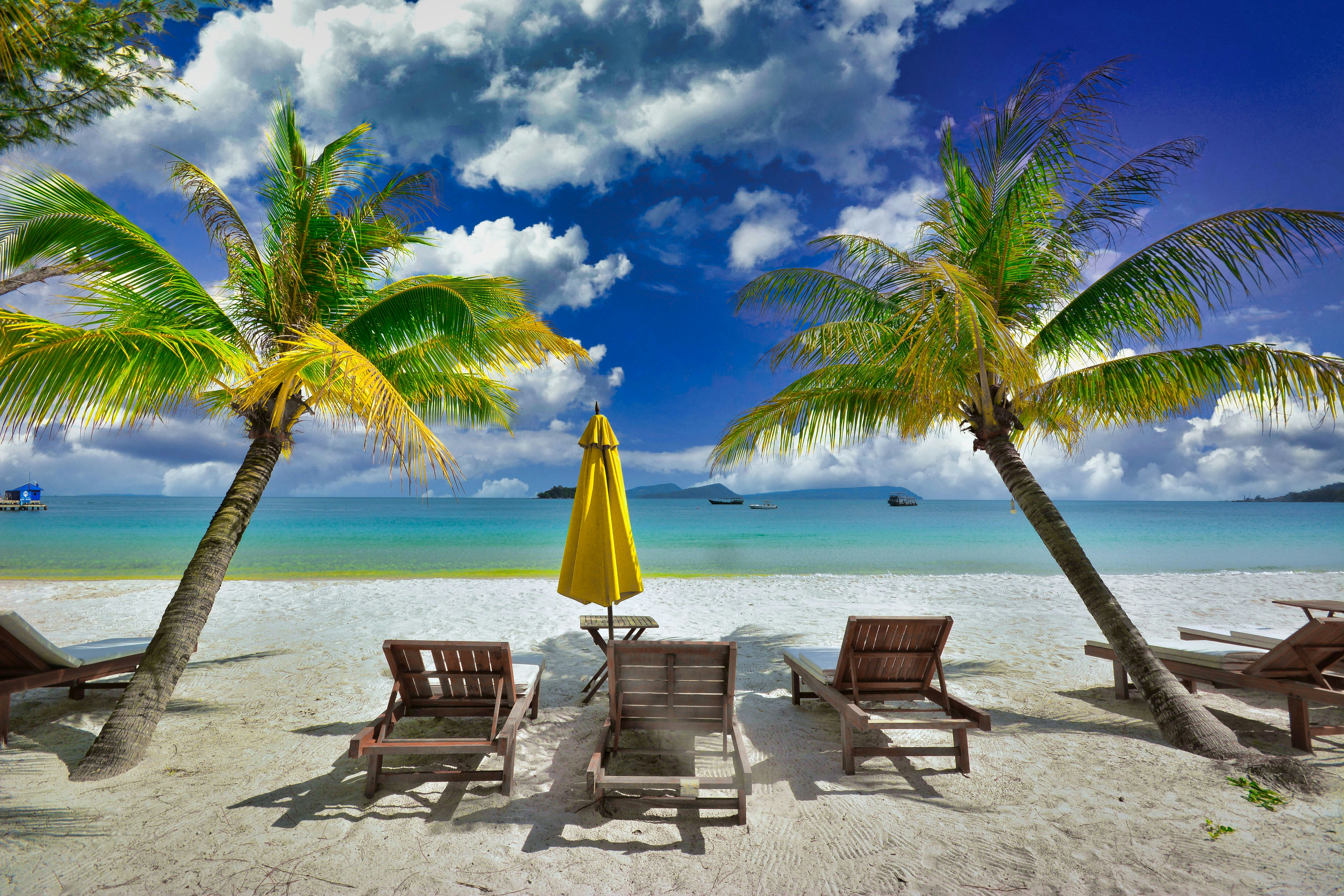 Premium beach loungers and umbrellas by the Red Sea
