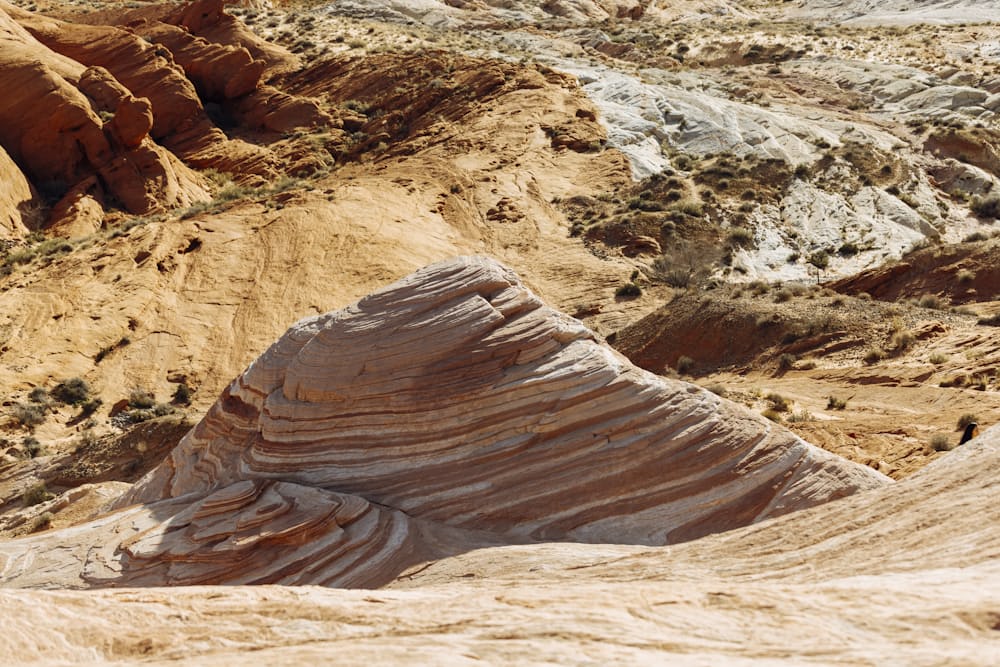 Valley of the Whales desert rock formations
